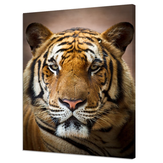 Tiger Face Portrait Art Print, Modern Wall Decor