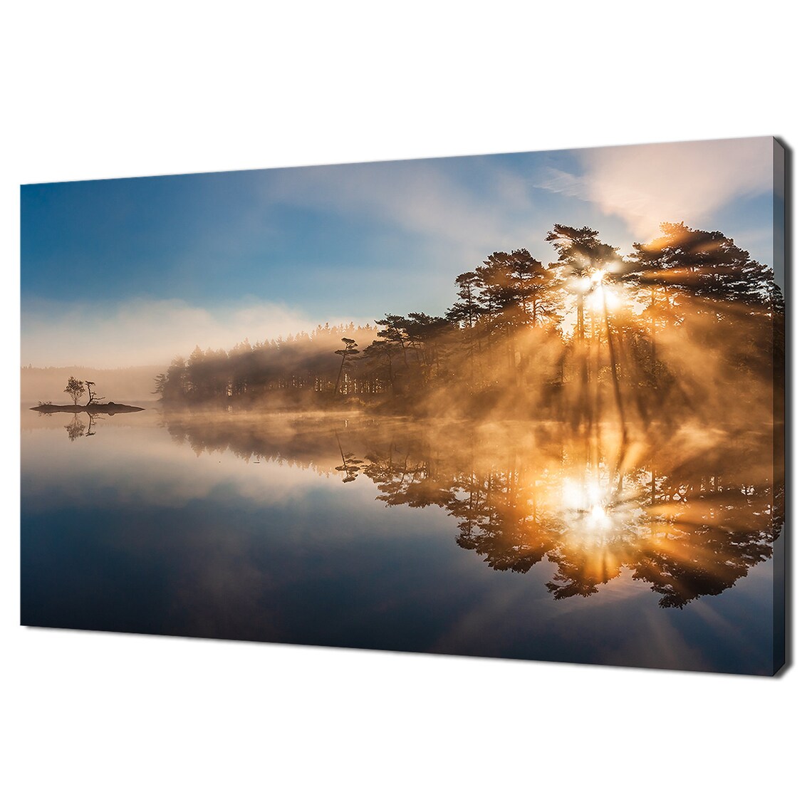 Sunrise Through Trees, Lakeside Modern Design