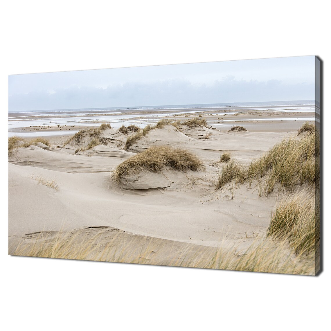 Windy Sand Dunes Beach Grass North Sea Coast Photography Print