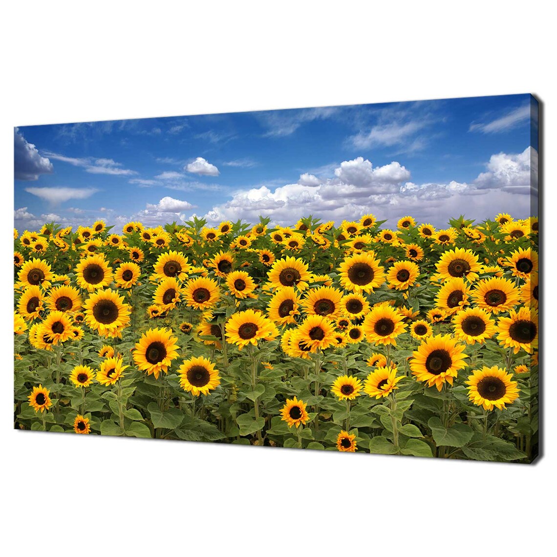 Sunflower Field Under Bright Blue Sky Summer Blooms Travel Poster