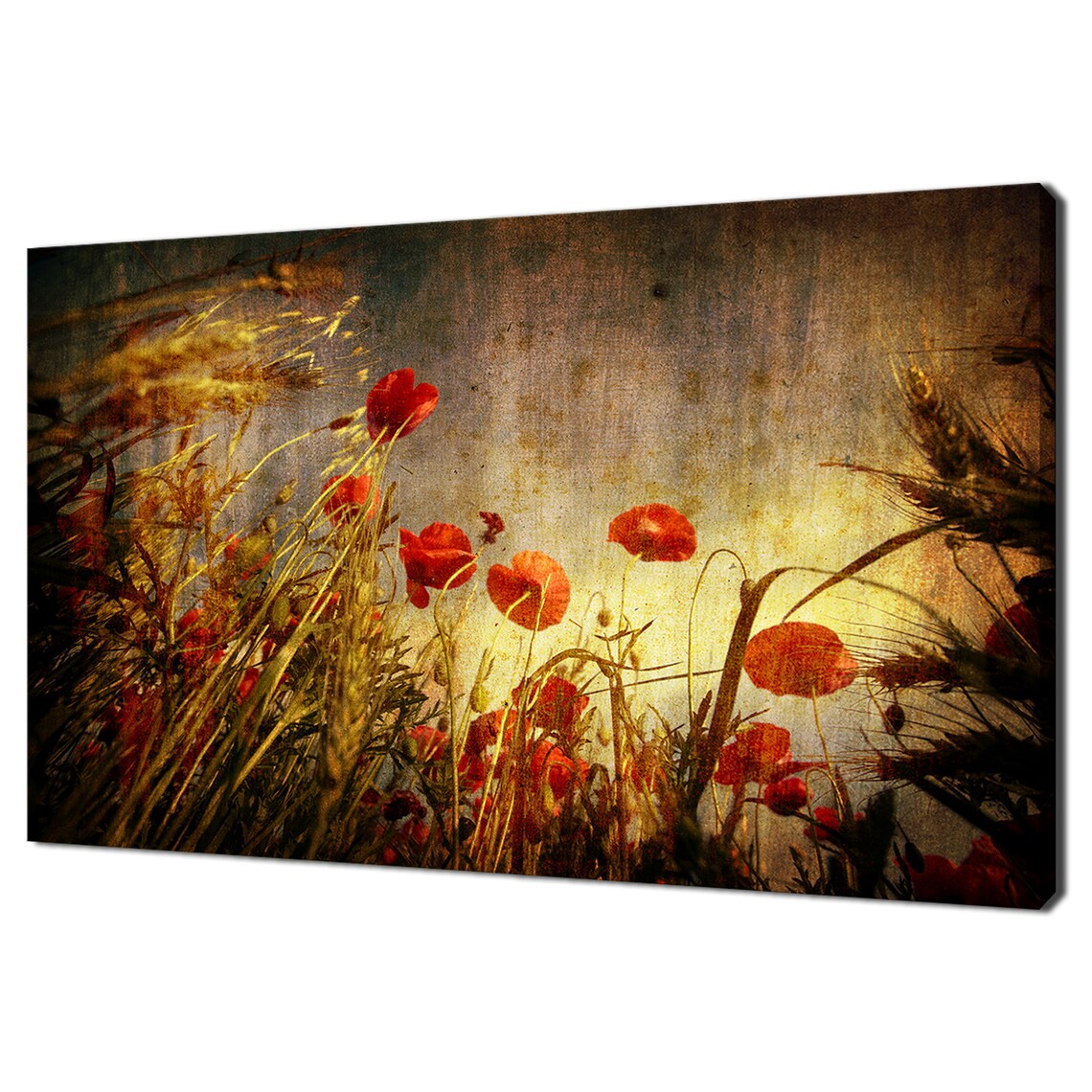 Red Poppies In Wheat Field Vintage Grunge Floral Photography Wall Art