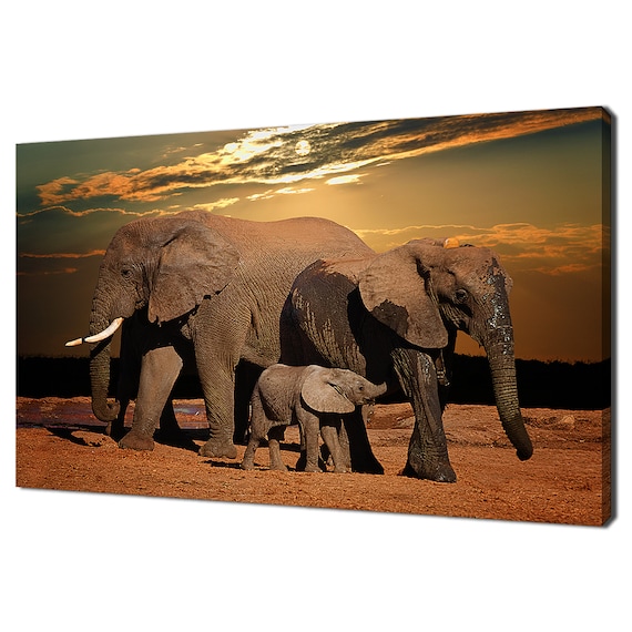 African Elephants Family Sunset Savanna Golden Hour Wildlife Poster