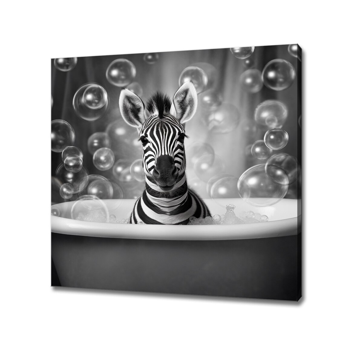 Baby Zebra In Bubble Bath Tub Black White Funny Bathroom Animal Art Print