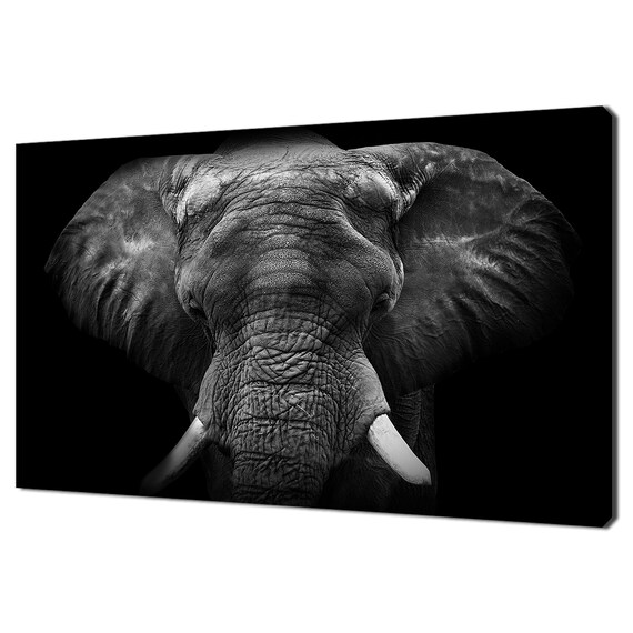 Black And White African Elephant Face Close-Up Dramatic Wall Poster
