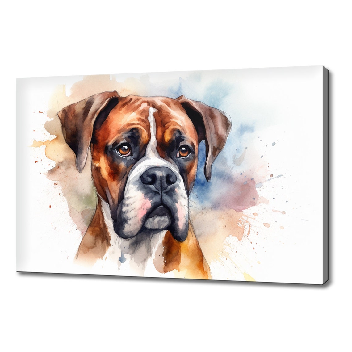 Boxer Dog Fawn Portrait Watercolour Splash Head Study Poster