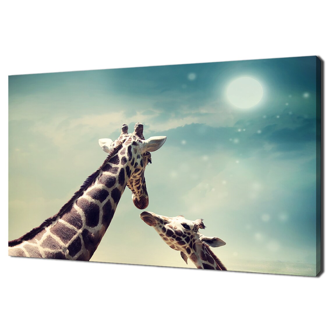 Giraffe Mother And Child Tender Moment Under Moonlit Blue Sky Wall Poster