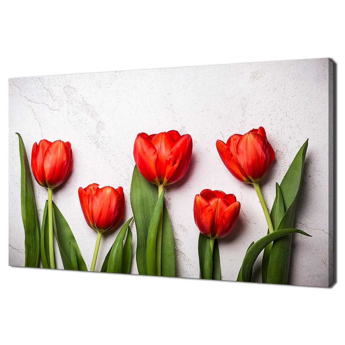 Red Tulips Flowers Minimalist White Background Spring Wall Art Print