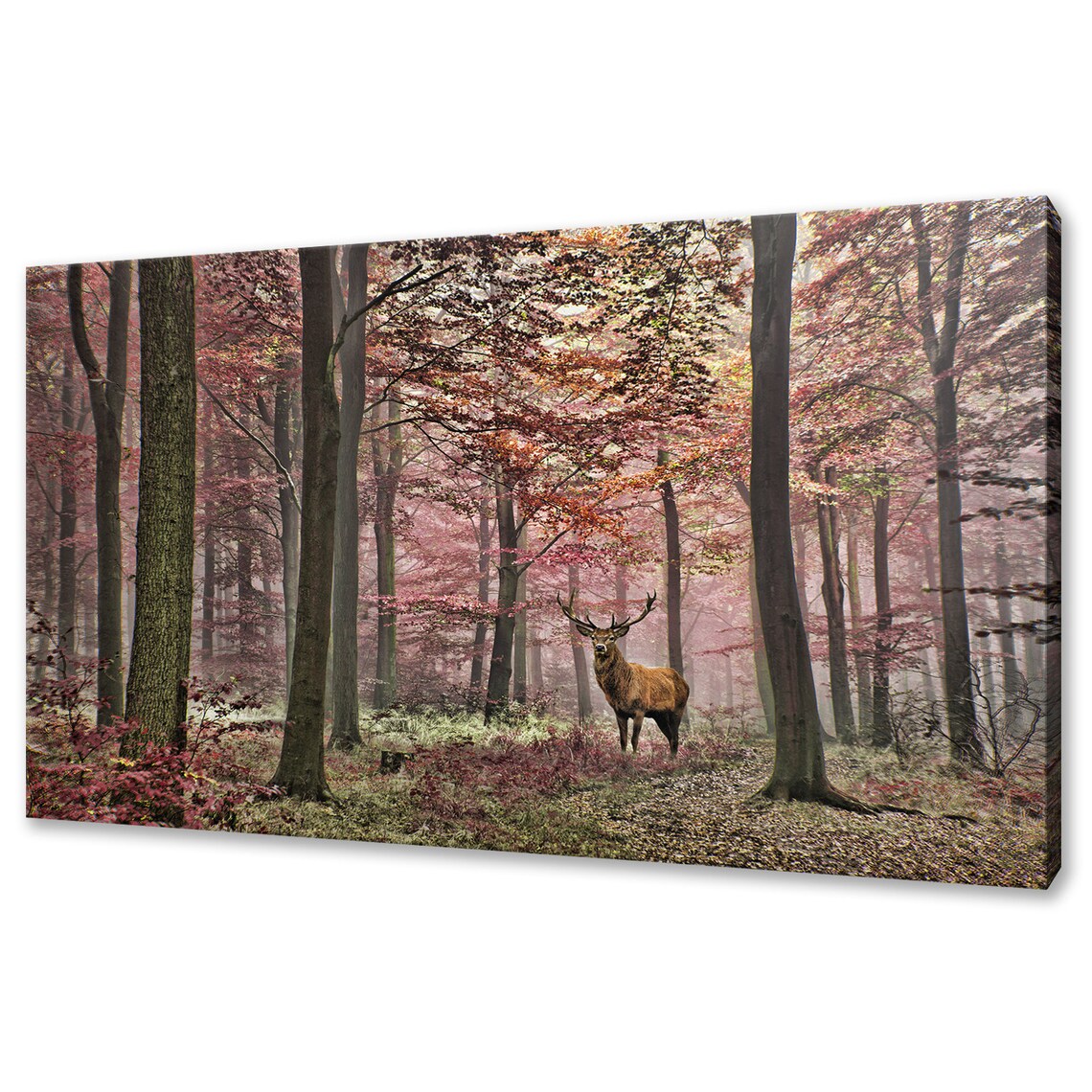 Red Deer Stag Foggy Autumn Forest Misty Woodland Wildlife Poster