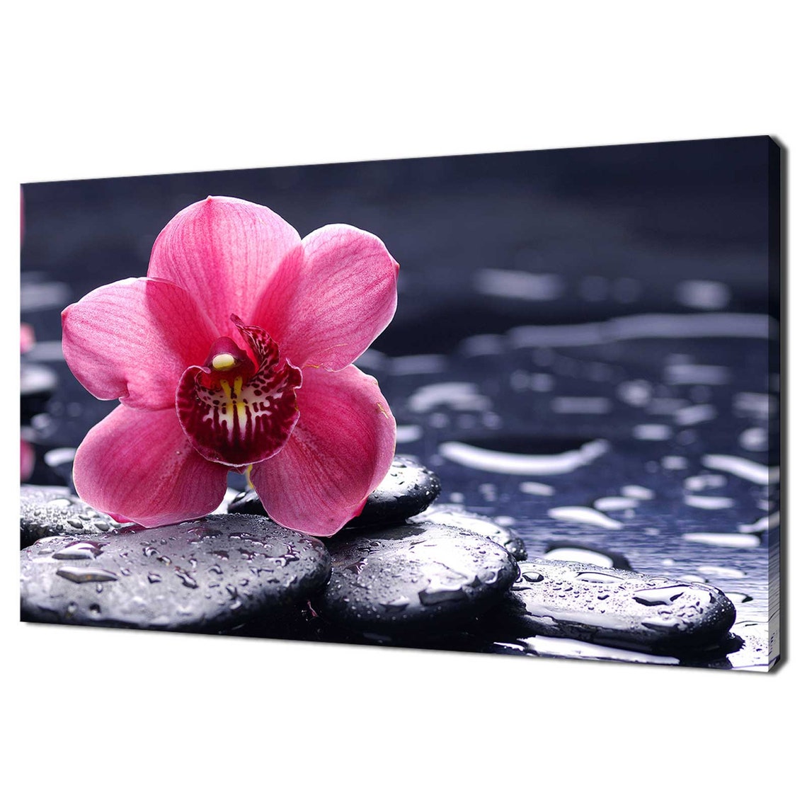 Pink Orchid On Wet Black Pebbles Zen Spa Calm Floral Wall Art