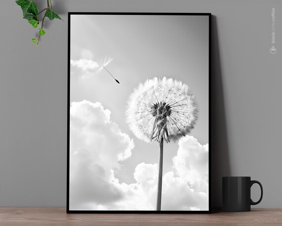 Dandelion Seed Head Black and White Macro Nature Photography Poster