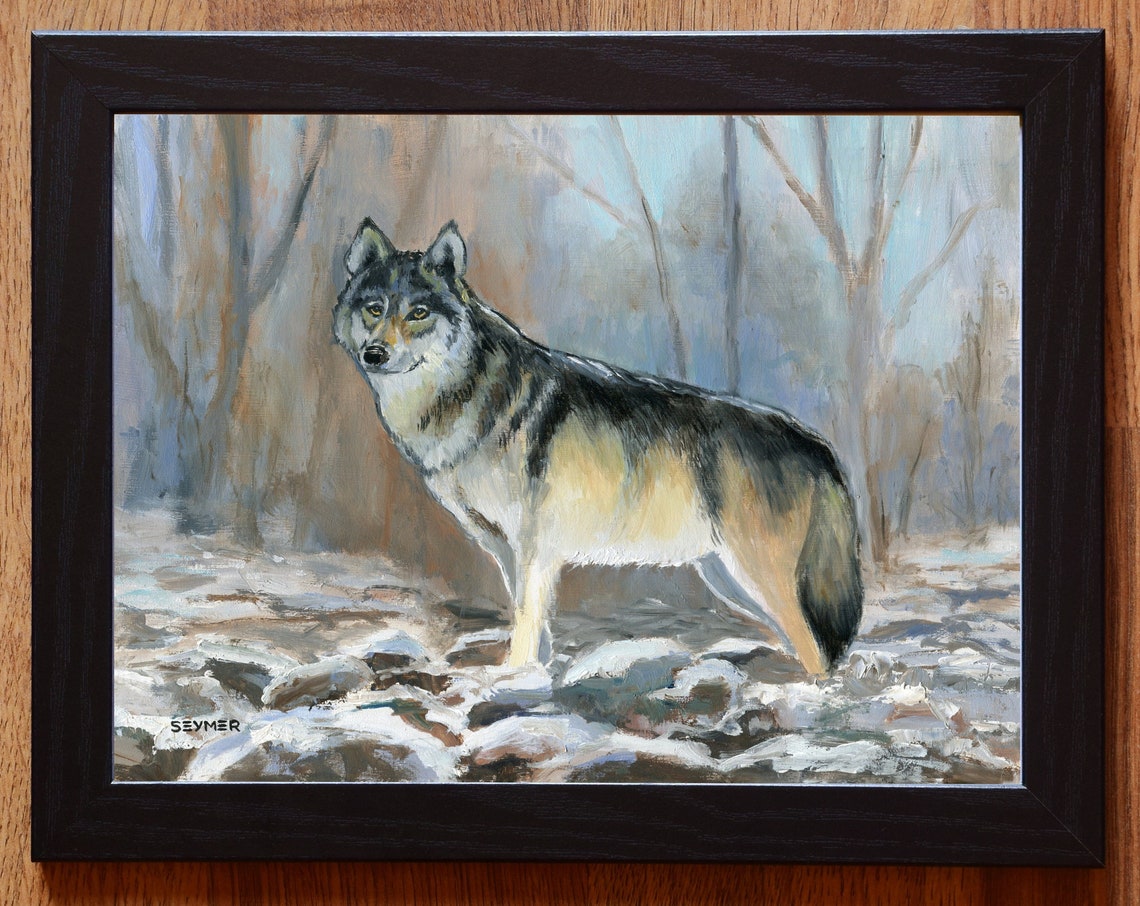 Majestic Grey Wolf Standing Alone in a Snowy Winter Forest Poster - Image 6