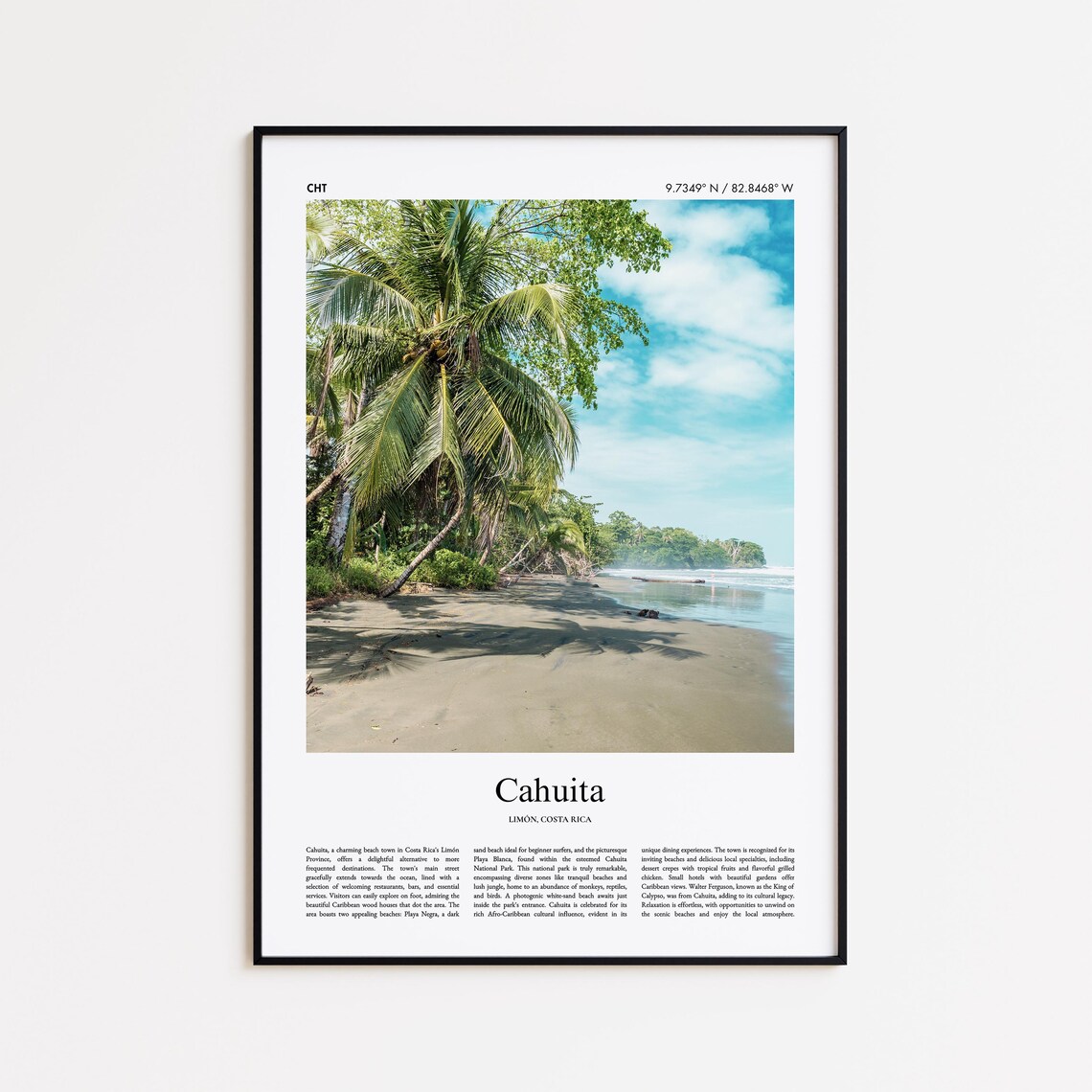 Cahuita Costa Rica Tropical Beach Palm Trees Photo Travel Poster