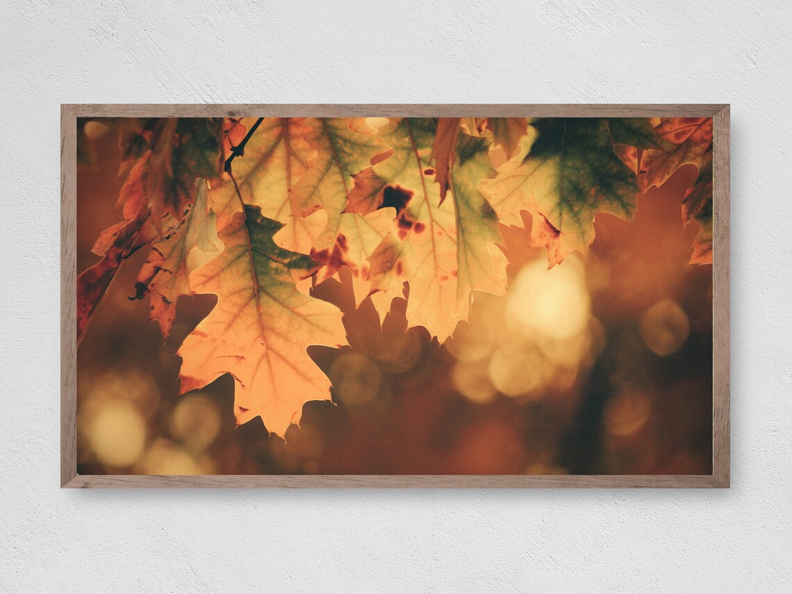 Draping Fall Leaves Art Print, Autumn Decor