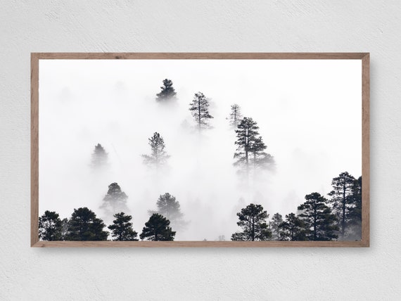Trees In The Mist Frame Tv Art Instant Trees Frame Tv Art Art Tv For Frame