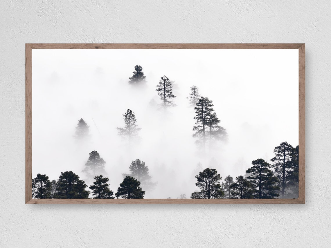 Trees In The Mist Frame Tv Art Instant Trees Frame Tv Art Art Tv For Frame