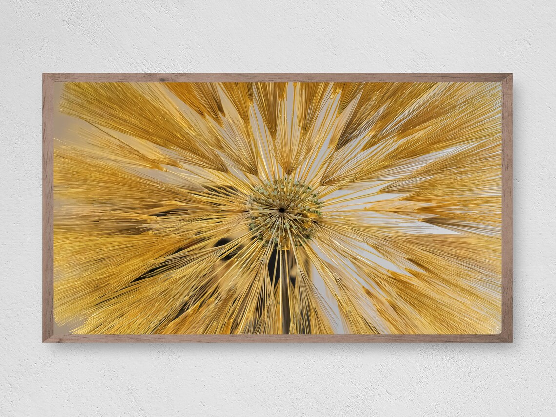 Golden Dandelion Seed Head Macro Radial Nature Close Up Photo Poster