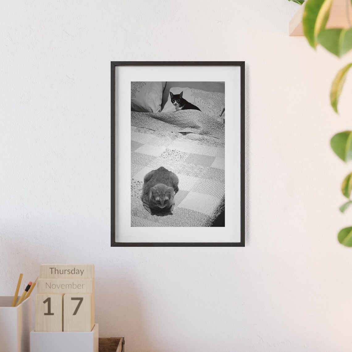 Funny Cat Photograph, Bedroom Decor - Image 3