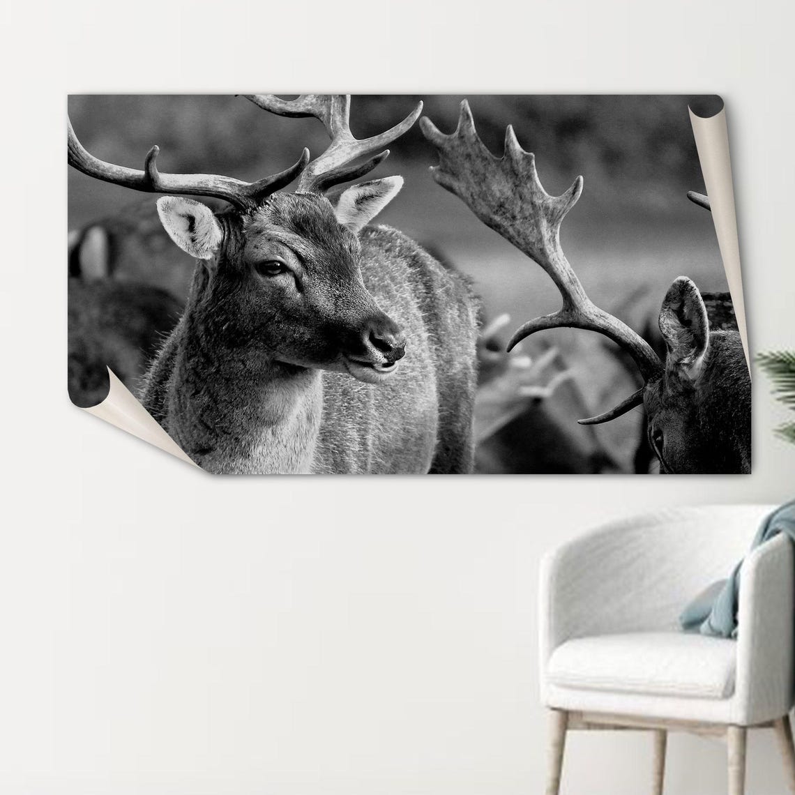 Black And White Fallow Deer Stag Close Up Wildlife Portrait Poster - Image 2