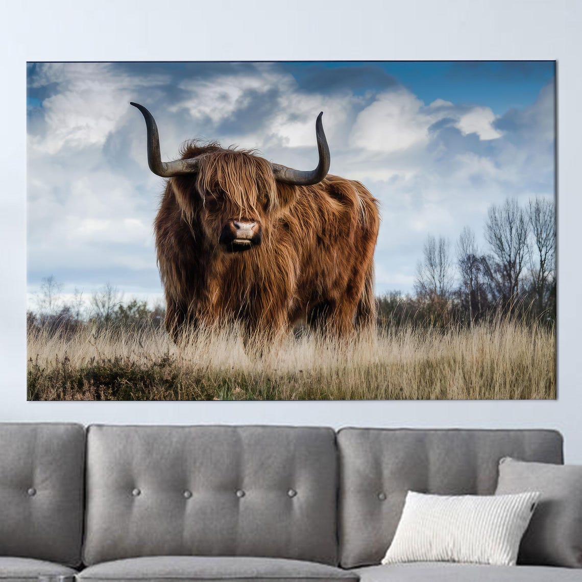 Highland Cow Standing In Grassy Field Rustic Farmhouse Animal Poster