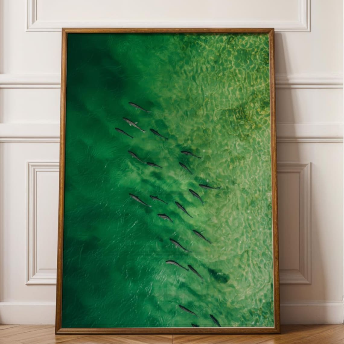 Emerald Green Water School of Fish Aerial Ocean Photo Poster