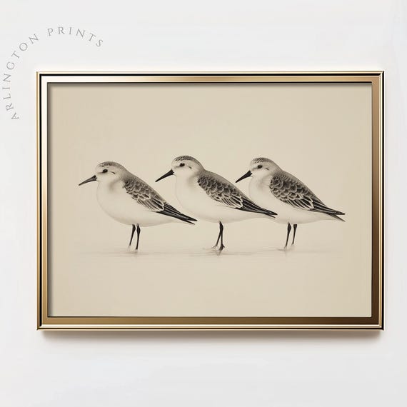 Vintage Coastal Birds Drawing Beach Cottage Sandpipers Neutral Beige Wall Art Minimalist Ocean Home Decor