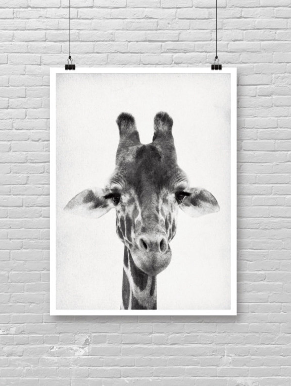 Giraffe Portrait Black and White Funny Cute Safari Animal Art Poster
