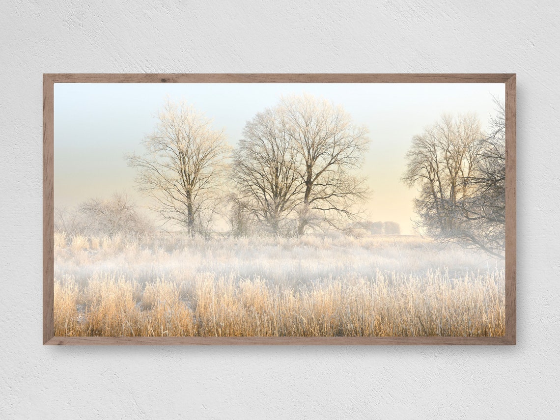 Frosted Golden Field at Dawn with Bare Trees Misty Meadow Poster
