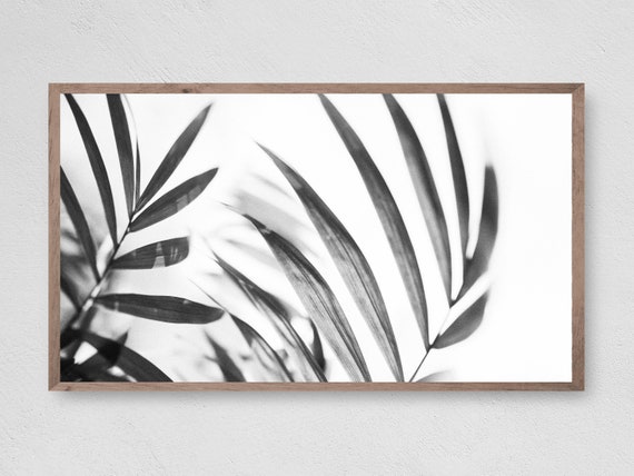 Modern Palm Leaves Frame Tv Art Instant Tropical Frame Tv Art Art Tv For Frame