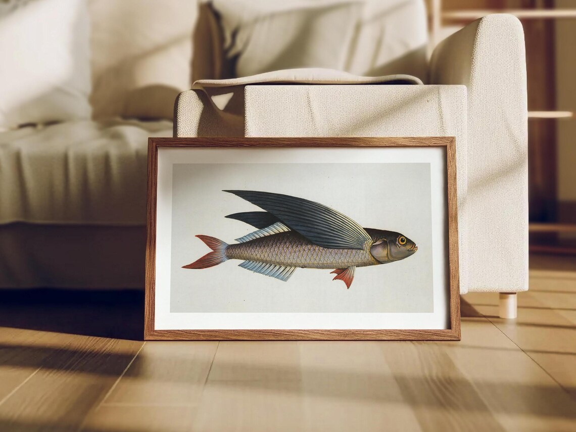 Flying Fish Vintage Naturalist Marine Illustration Art Poster - Image 4