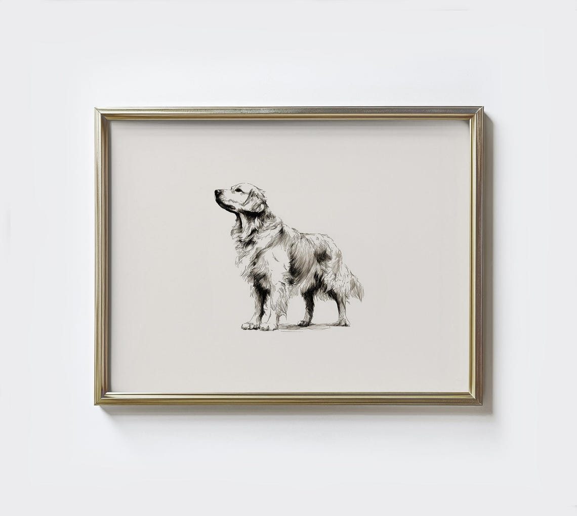 Golden Retriever Standing Vintage Pen Sketch Dog Portrait Poster