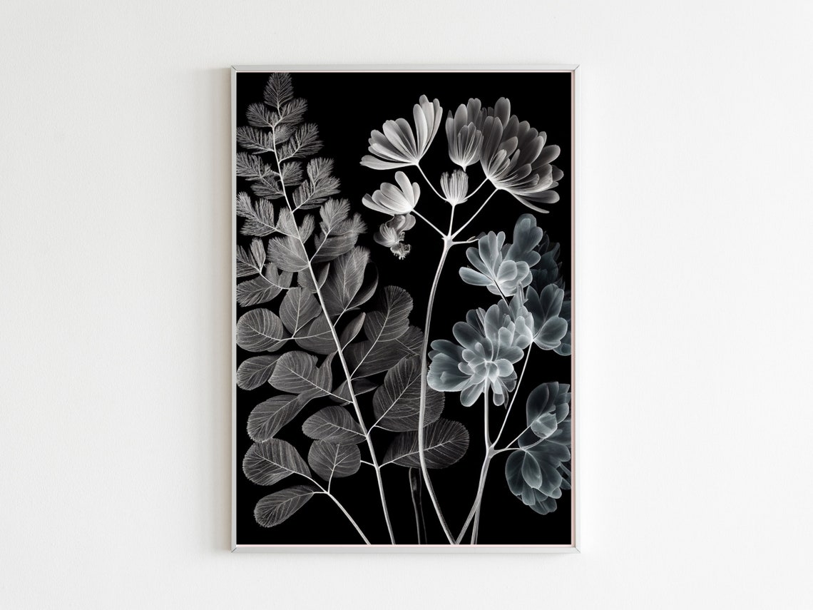 Black Background X Ray Flowers Dramatic Dark Botanical Poster