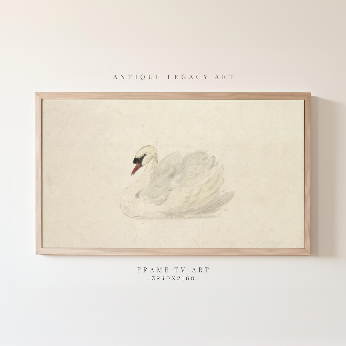 Antique White Swan Sketch Minimalist Vintage Bird Drawing Art Poster