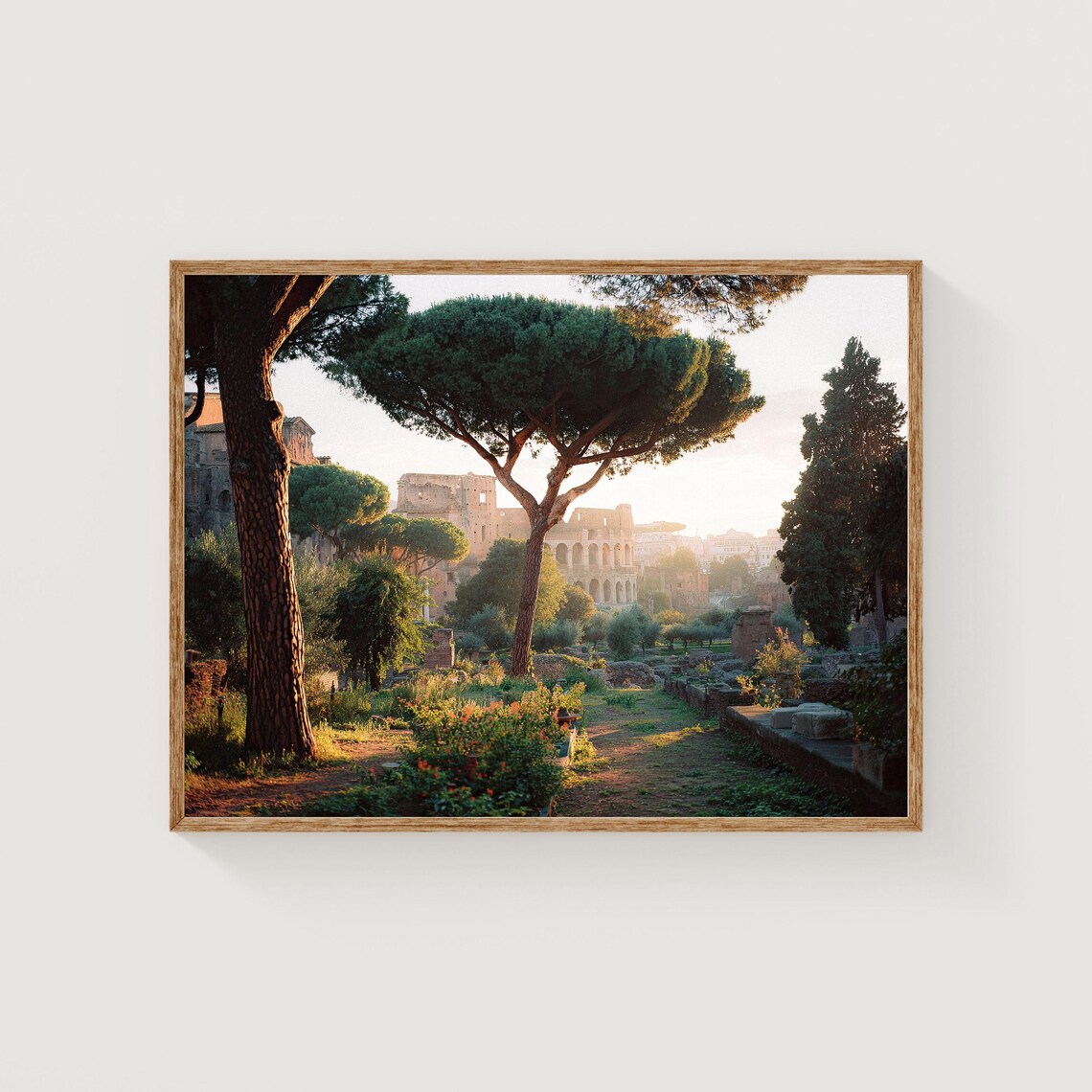 Rome Colosseum Stone Pines Golden Light Italian Garden Poster