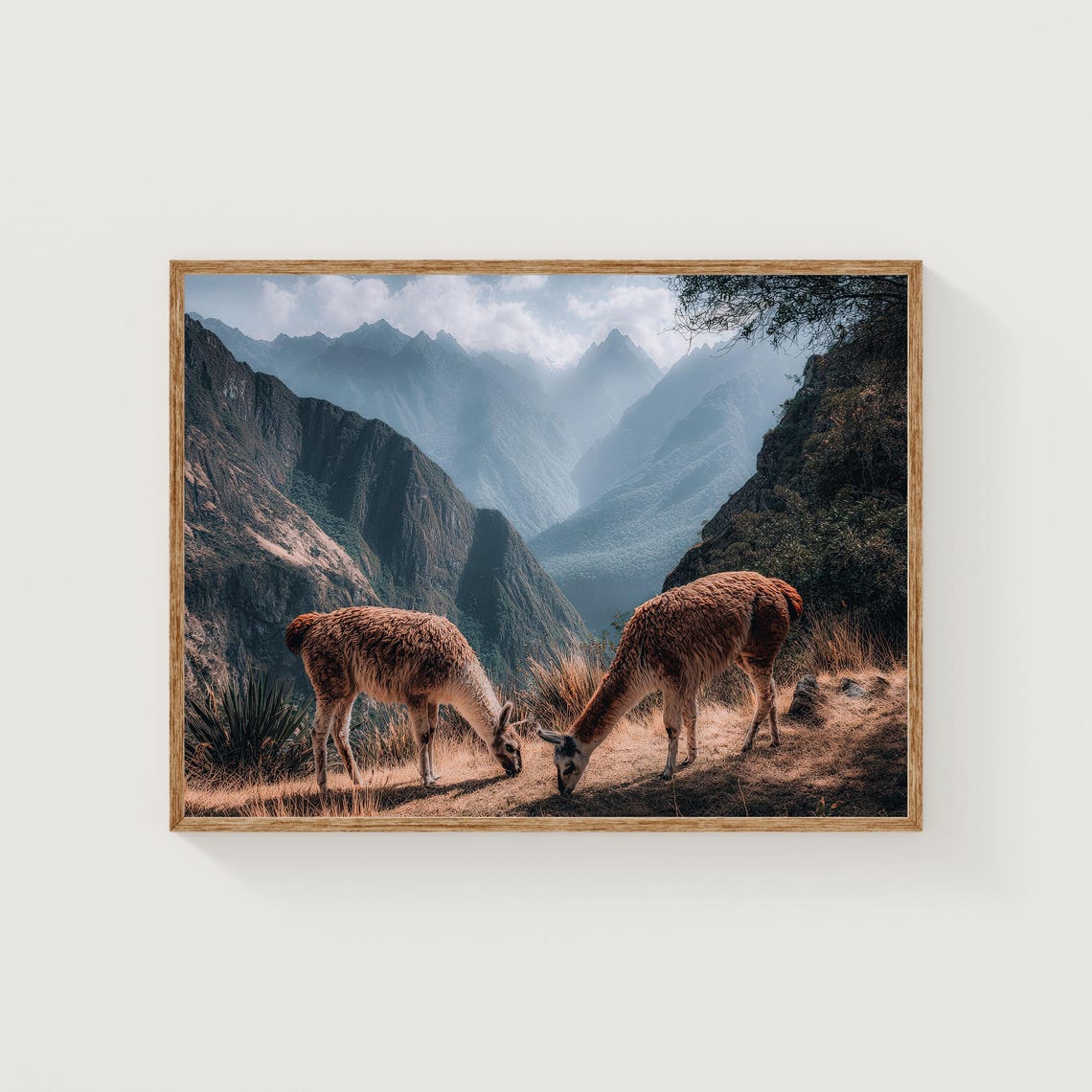 Llamas Grazing in Misty Peruvian Andes Mountain Photo Poster