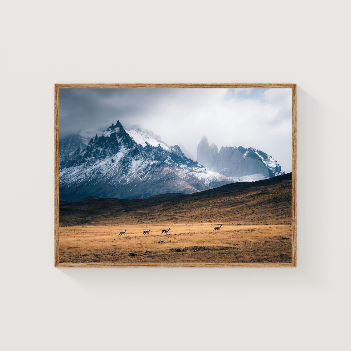 Torres del Paine Guanacos Patagonia Wildlife Mountain Fine Art Print