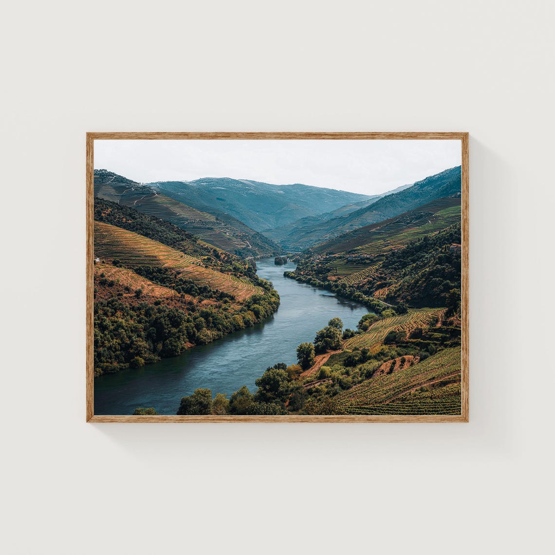 Douro Valley Portugal Terraced Vineyards River Landscape Photo Poster