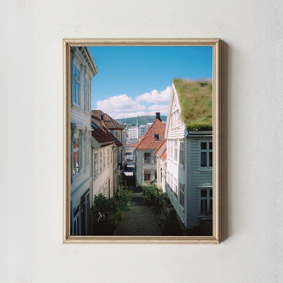 Scandinavian Old Town Cobblestone Alley Turf Roofs Photo Print