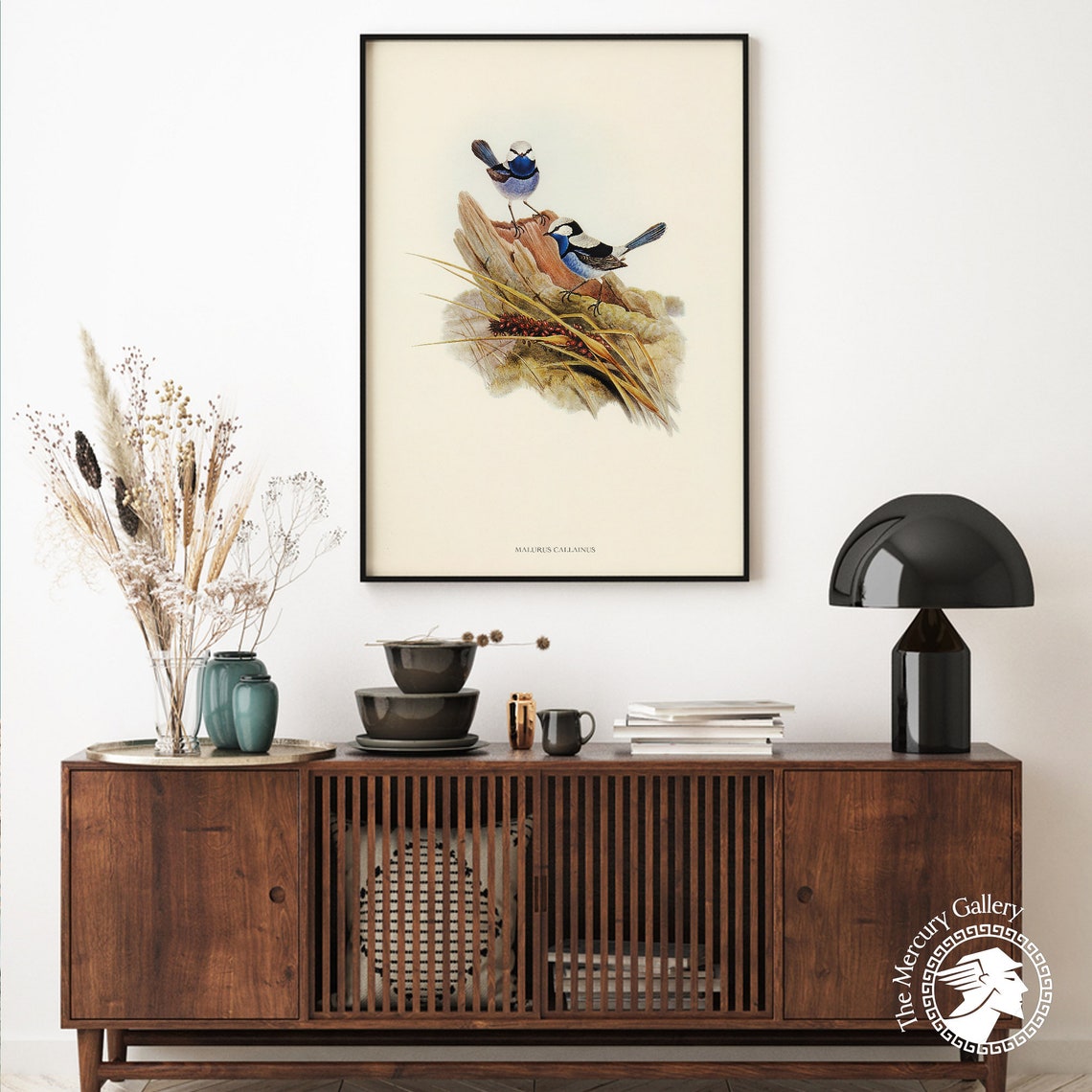Vintage Turquoise Fairy-Wren Pair Antique Australian Bird Art Print - Image 4