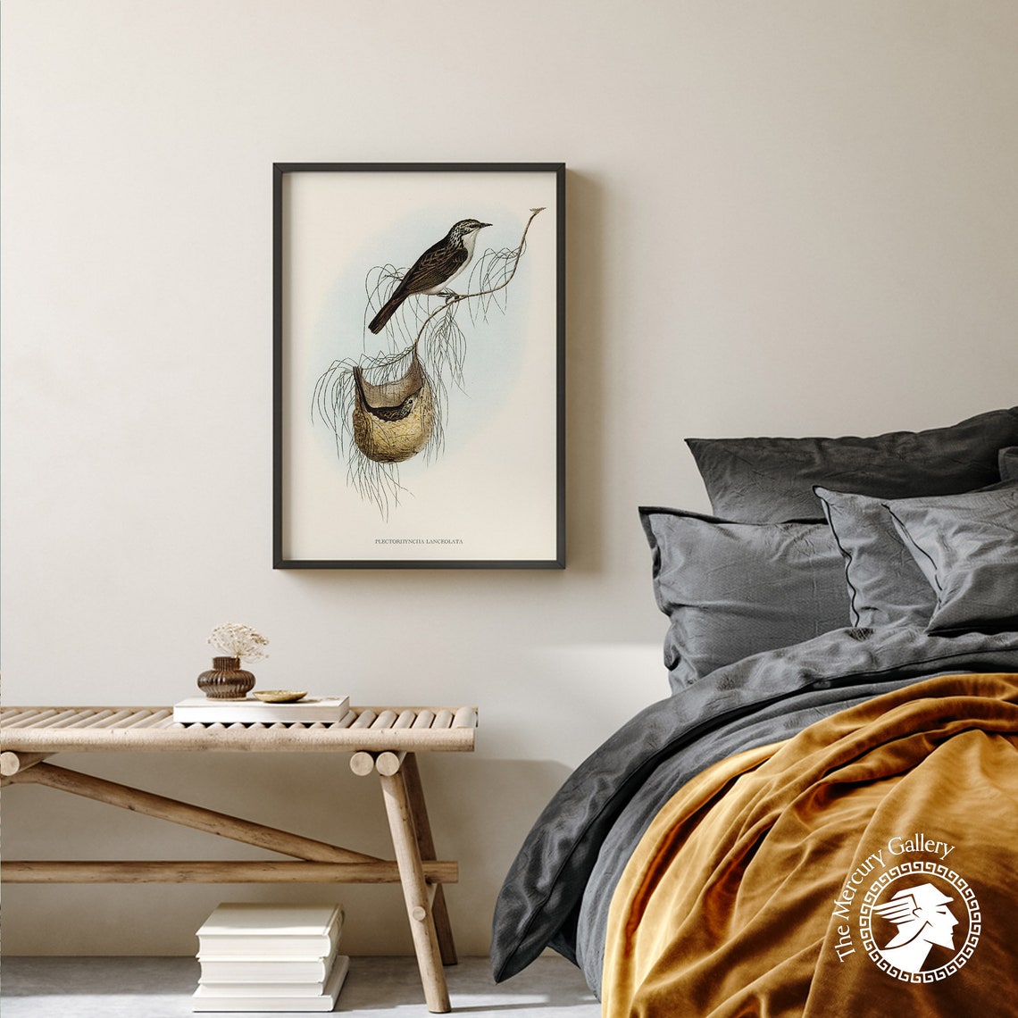 Vintage Lanceolate Honeyeater Woven Nest Antique Bird Art Print - Image 4