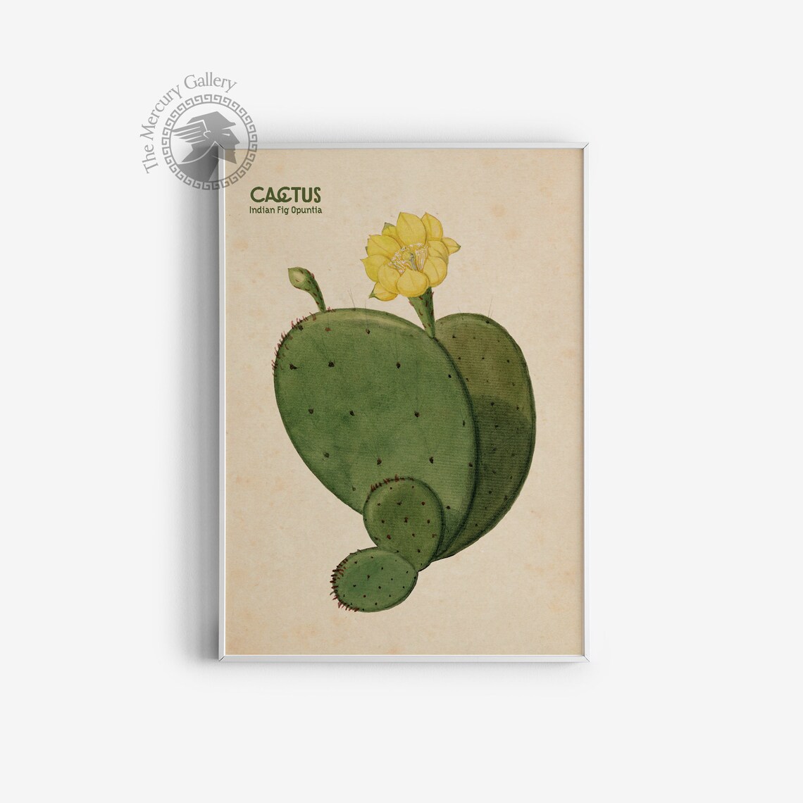 Prickly Pear Cactus Desert Art Print, Eclectic Decor - Image 3