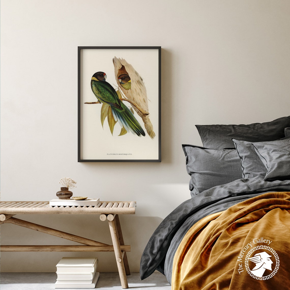 Vintage Yellow-Collared Parakeet Pair Antique Bird Illustration Print - Image 2