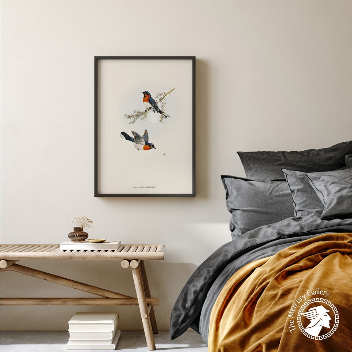 Vintage Spectacled Monarch Flycatcher Pair Antique Bird Art Print - Image 4
