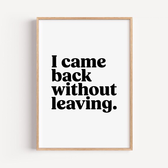 I Came Back Without Leaving Funny Sarcastic Quote Typography Poster