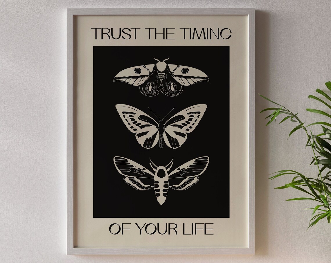 Trust The Timing Of Your Life Butterfly Moth Illustration Art Poster