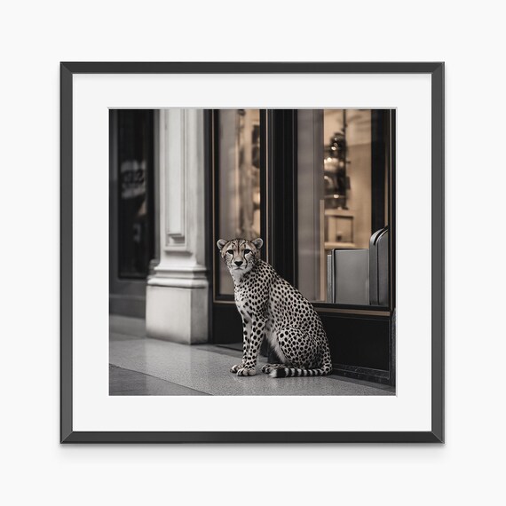 Cheetah Print Photography Prints Fashion Poster Fine Art Trendy Wall Museum Quality