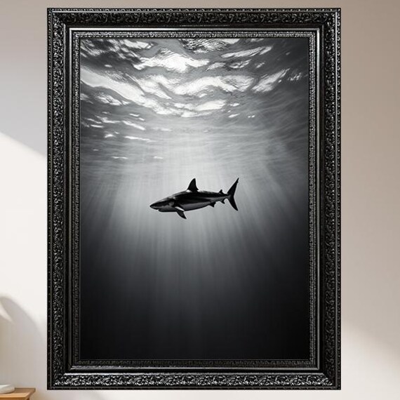 Black And White Shark Underwater Light Rays Ocean Photo Poster