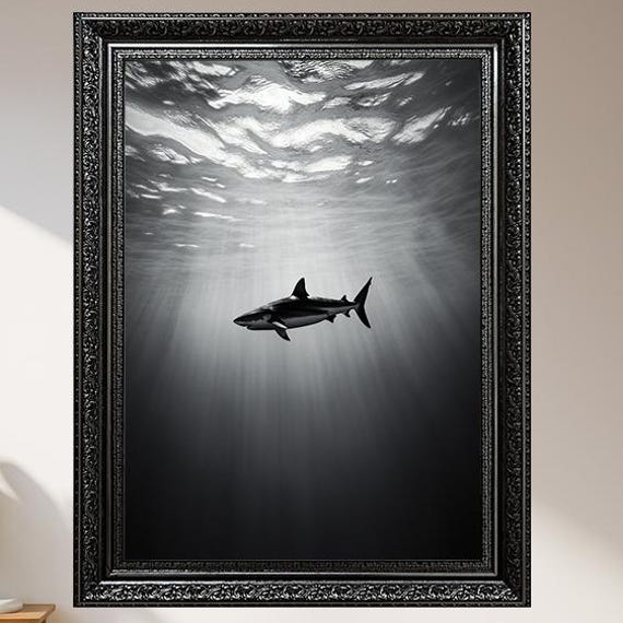 Black And White Wall Art Print Minimalist Ocean Life Photography Poster Dramatic Underwater Sea Animal Canvas For Modern Decor