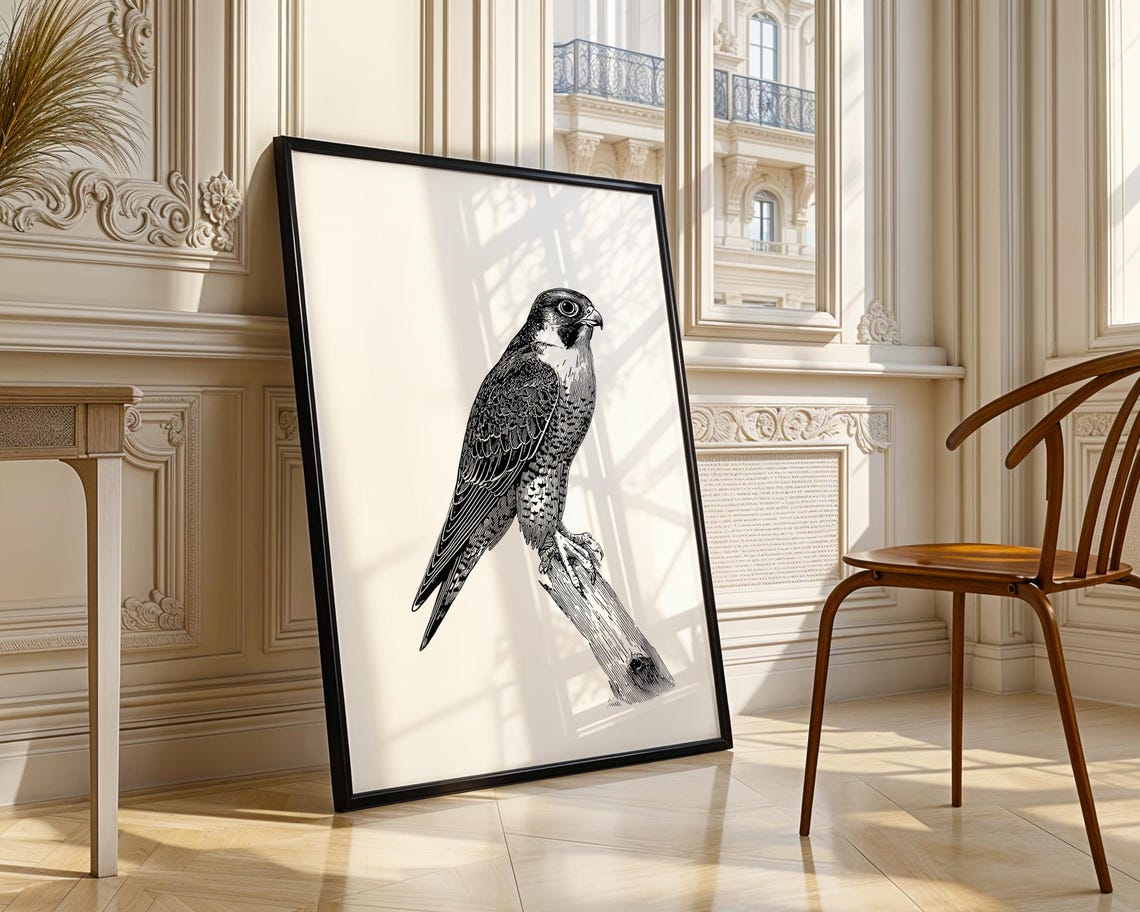 Falcon Perched Branch Black White Engraving Style Bird Poster - Image 4