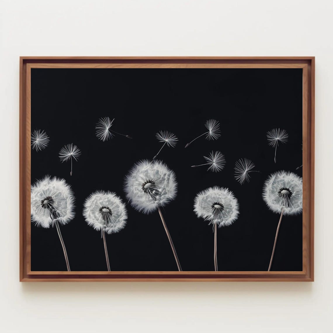 White Dandelions Black Background Panoramic Botanical Poster - Image 5
