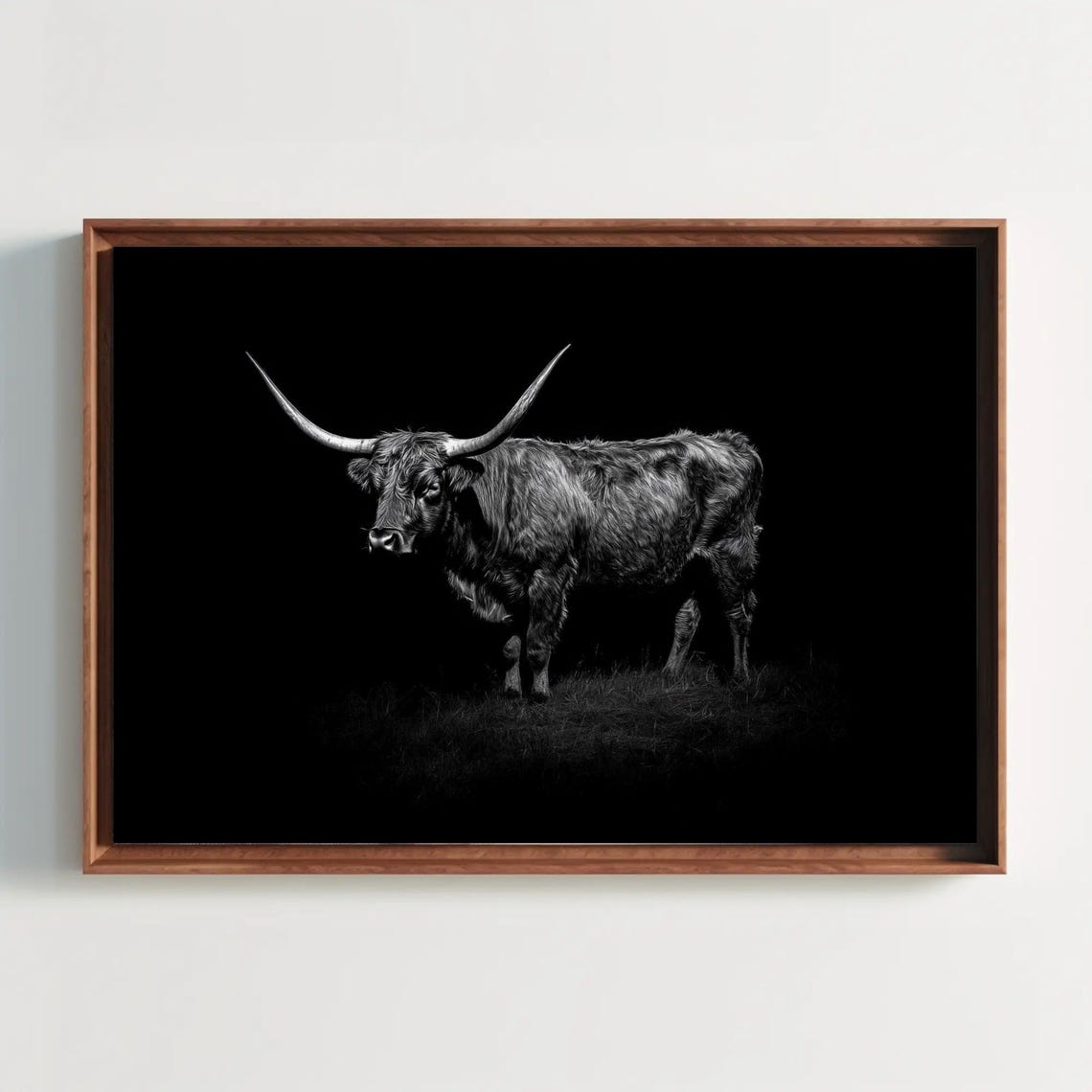 Black And White Highland Cow Full Body On Dark Background Poster